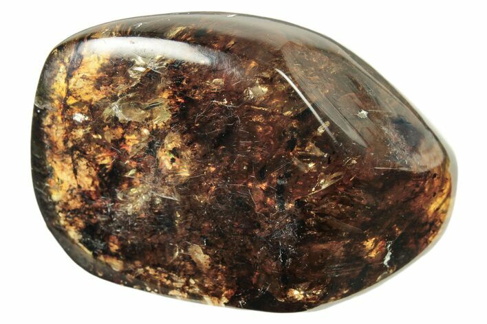 Polished Chiapas Amber ( g) - Mexico #274449